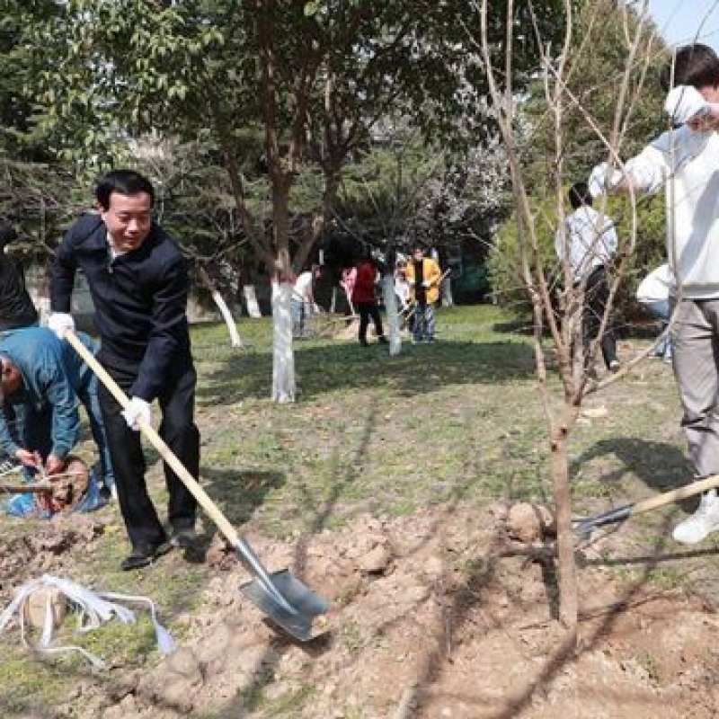 陕西中医药大学开展“一样的初心,不一样的植树节”系列活动